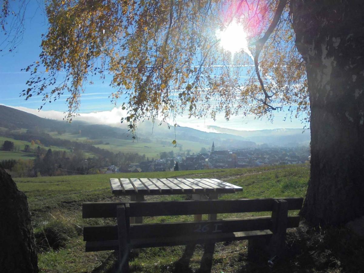 Rhoener Landhotel Haus Zur Wasserkuppe Ehrenberg  Экстерьер фото